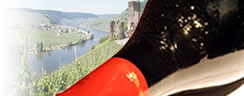 European Fine Wine fronting an image of a beautiful sunlit european vineyard river valley